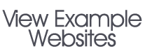 view-example-websites