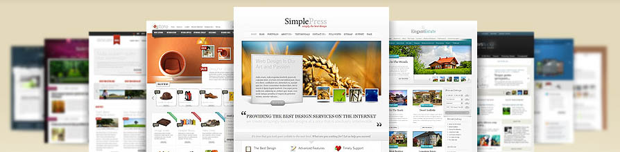 website themes