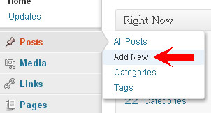 Wordpress Add New Post