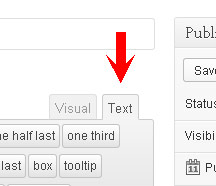 Wordpress Text Tab