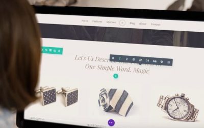 Divi Drag and Drop Theme Makes WordPress DIY