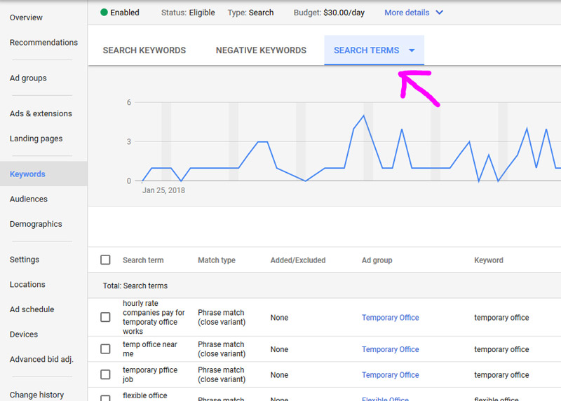 Google Ads Search Terms