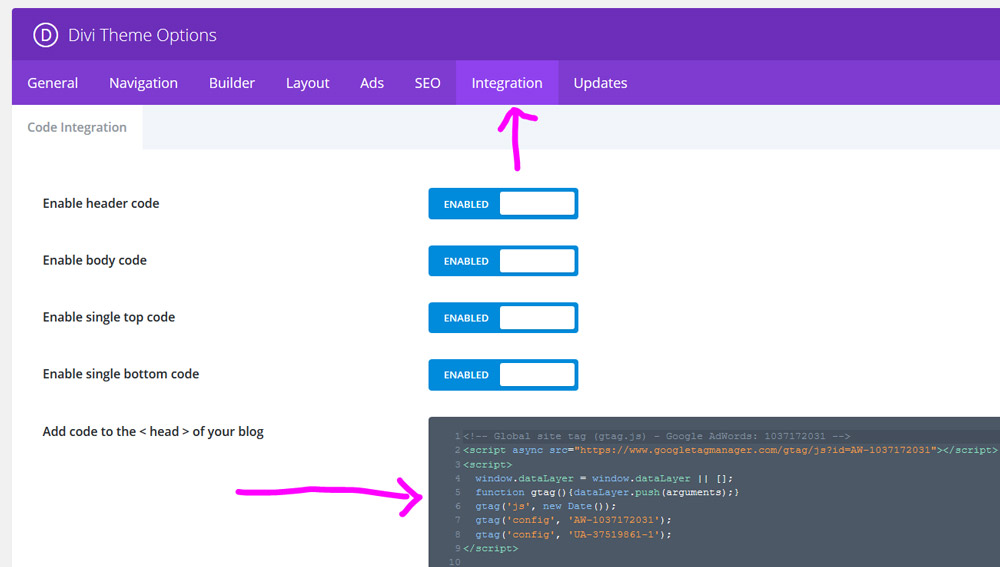 Divi Theme Google Analytics