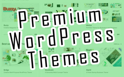 Benefits of Using a Premium WordPress Theme