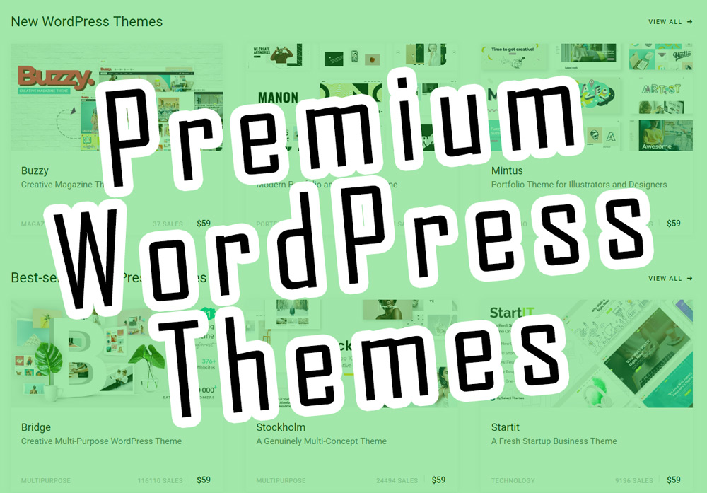 Premium WordPress Themes