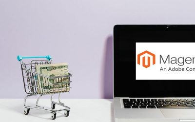 What Is Magento and Why You Should Use It for Website Development?