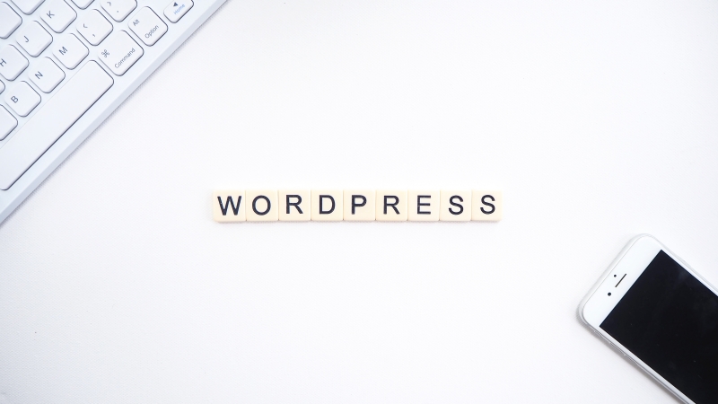 10 Point Checklist for A Successful WordPress Website Launch