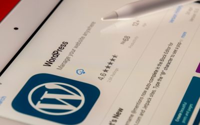 How To Integrate An External API Into Your WordPress Site