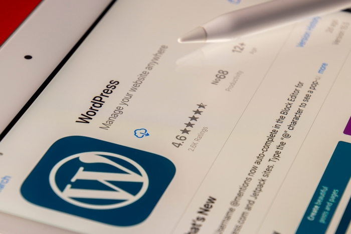 How To Integrate An External Api Into Your WordPress Site